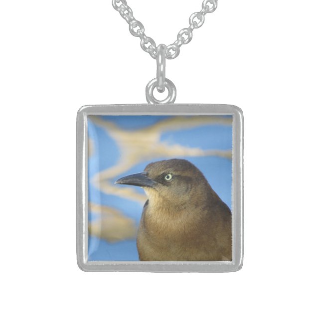 Blackbird Stare Photo with Blue Water Nature Sterling Silver Necklace (Front)
