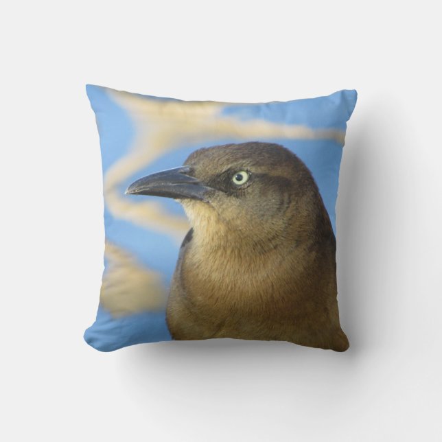 Blackbird Stare Photo with Blue Water Nature Throw Pillow (Front)