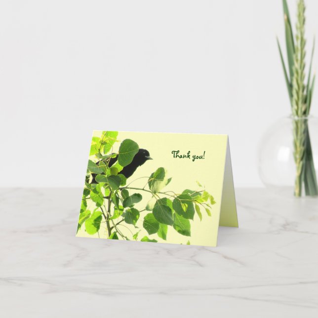 Blackbird Thank You (Front)