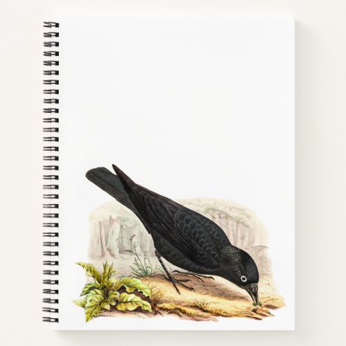 Blackbird The Raven Notebook