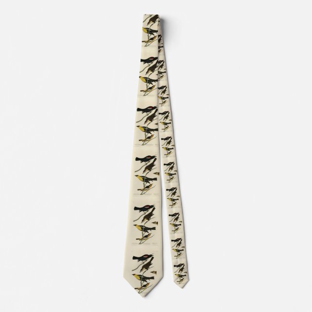 Blackbirds and Oriole, Audubon's Birds of America Neck Tie (Front)