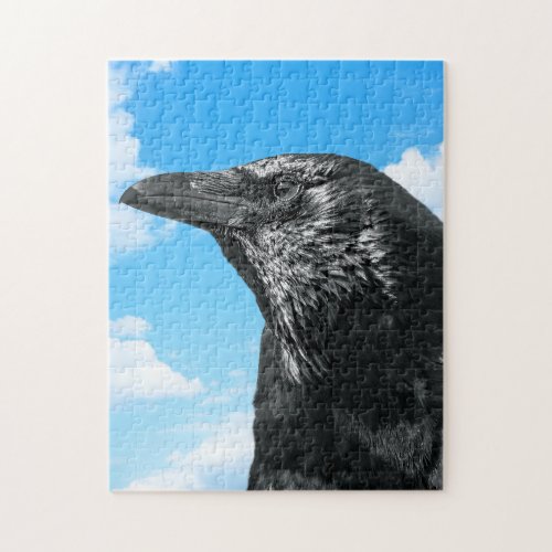 Blackbirds Picture of Crow Jigsaw Puzzle