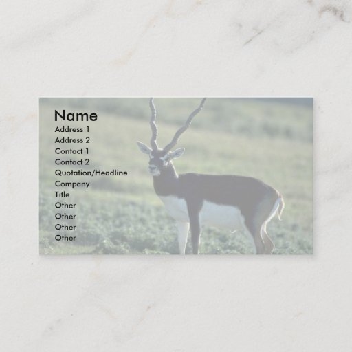 Customizable Blackbuck antelope business card template
