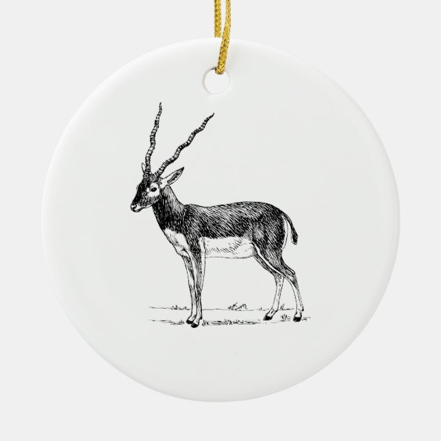 Blackbuck Antelope Ceramic Ornament (Front)