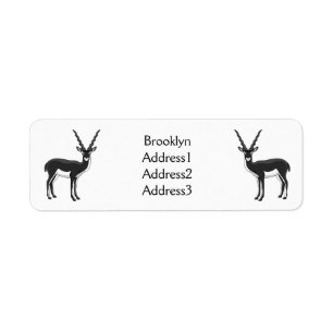 Blackbuck antelope illustration label