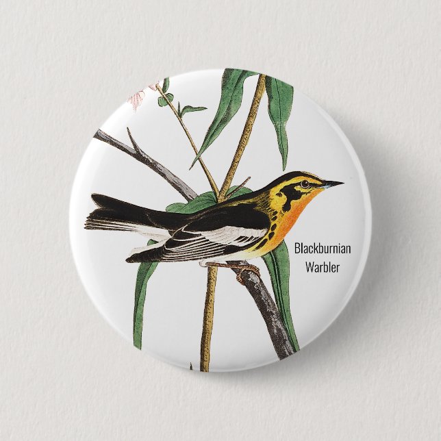 Blackburnian Warbler, Audubon, Wildlife Birder, Button (Front)