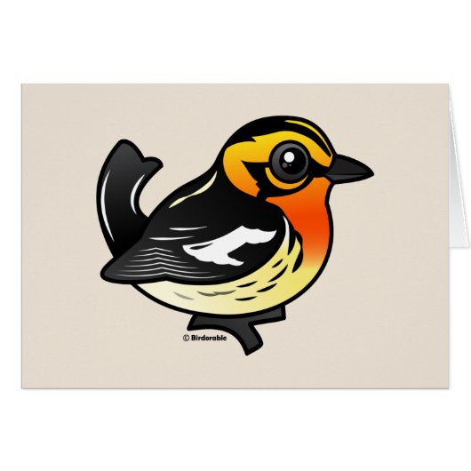 Blackburnian Warbler Cards (Front Horizontal)