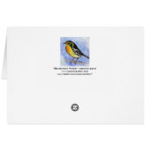 Blackburnian Warbler Cards (Back Horizontal)