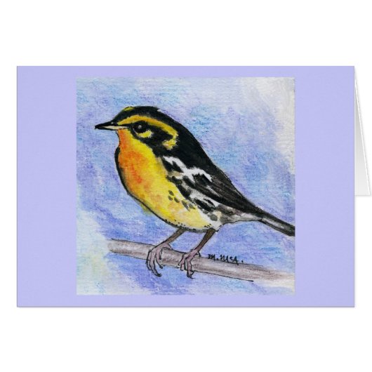 Blackburnian Warbler Cards (Front Horizontal)