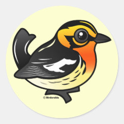 Blackburnian Warbler Round Sticker