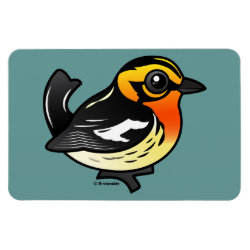 Blackburnian Warbler 4