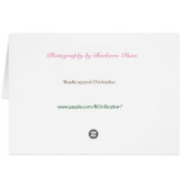 Blackcapped Chickadee Cards (Back Horizontal)