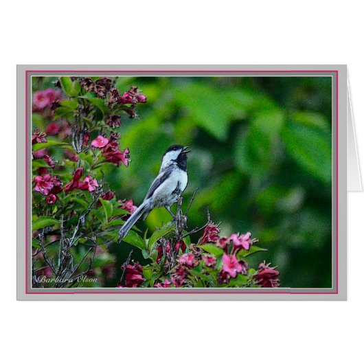 Blackcapped Chickadee Cards (Front Horizontal)