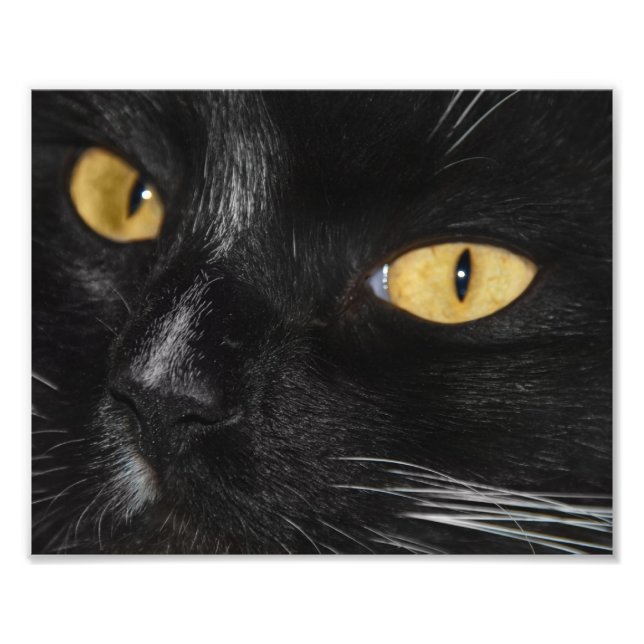 Blackest Black Photo Enlargement Print (Front)