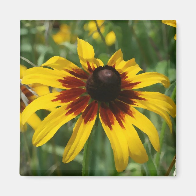 Blackeyed Susan Magnet (Front)