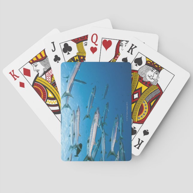 Blackfin Barracuda Poker Cards (Back)