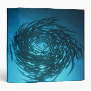 Blackfin barracuda swimming in circles 3 ring binder