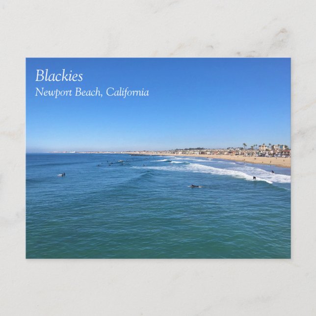 Blackies, Newport Beach, California Postcard (Front)