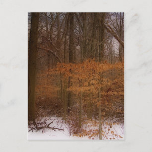 Blacklick Park Postcard