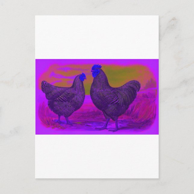 BlackLight Postcard (Front)