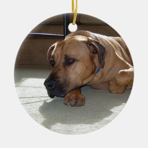 blackmouth cur laying ceramic ornament