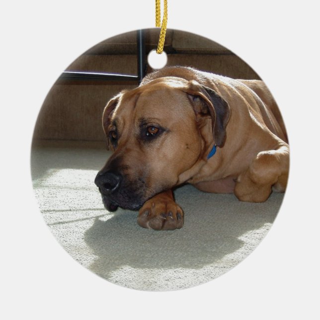 blackmouth cur laying ceramic ornament (Front)