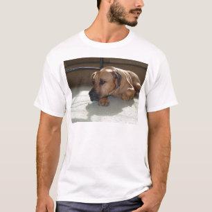 blackmouth cur laying T-Shirt