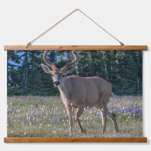 Blacktail Deer Buck  Olympic National Park Hanging Tapestry