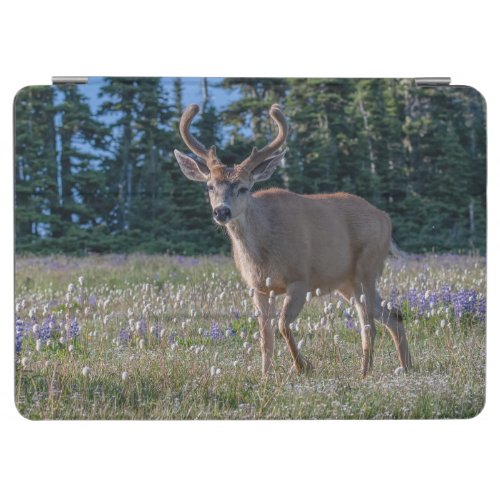Blacktail Deer Buck  Olympic National Park iPad Air Cover