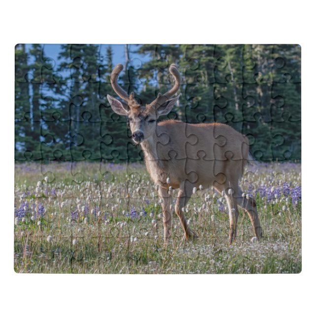 Blacktail Deer Buck | Olympic National Park Jigsaw Puzzle (Puzzle Horizontal)
