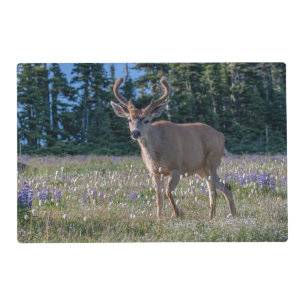Blacktail Deer Buck   Olympic National Park Placemat