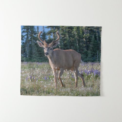 Blacktail Deer Buck  Olympic National Park Tapestry