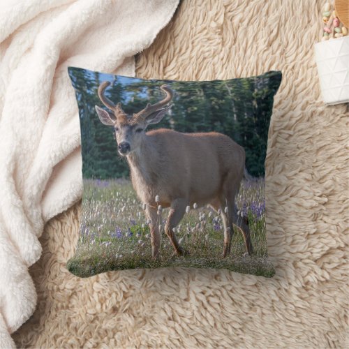 Blacktail Deer Buck  Olympic National Park Throw Pillow