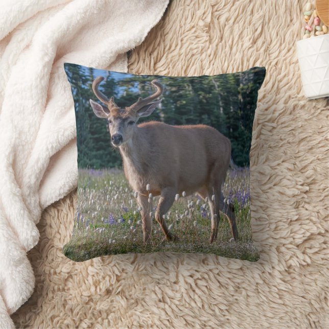 Blacktail Deer Buck | Olympic National Park Throw Pillow (Blanket)