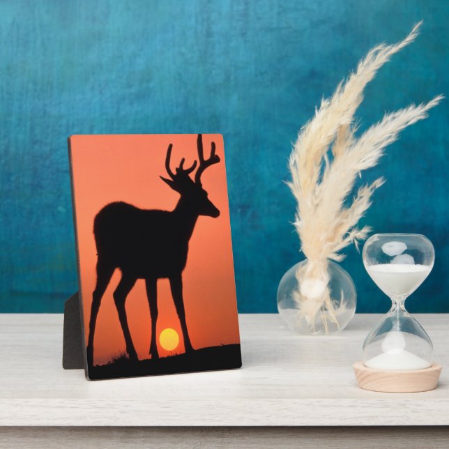 Blacktail or Mule Deer | Olympic National Park Plaque (Side)