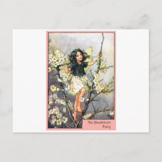 Blackthorn Fairy Postcard