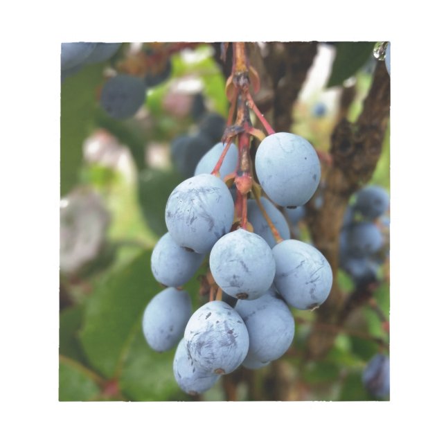 Blackthorn fruit notepad (Front)