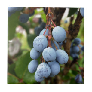 Blackthorn fruit tile