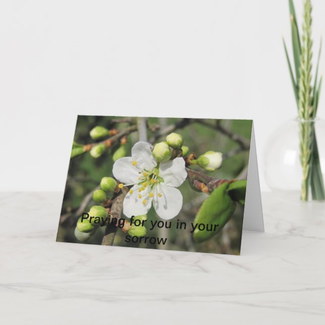 Blackthorn, Sympathy Card (Front)