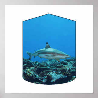 Blacktip Shark, Yap Island - Photographic Design | Poster