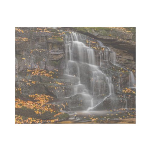 Blackwater Falls State Park Gallery Wrap
