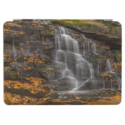 Blackwater Falls State Park iPad Air Cover