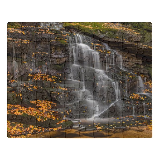 Blackwater Falls State Park Jigsaw Puzzle (Puzzle Horizontal)