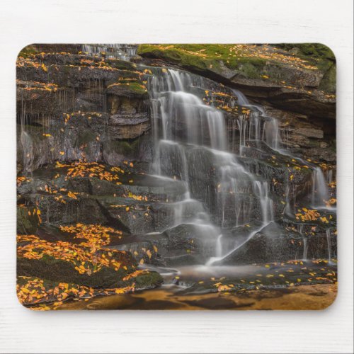 Blackwater Falls State Park Mouse Pad