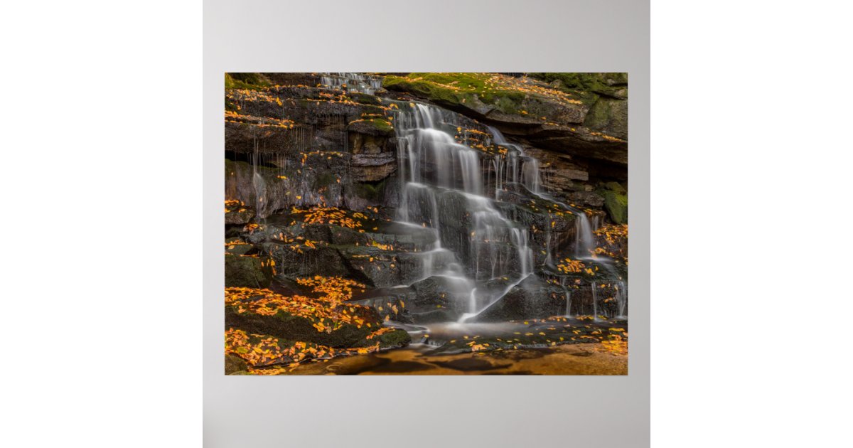 Blackwater Falls State Park Poster | Zazzle