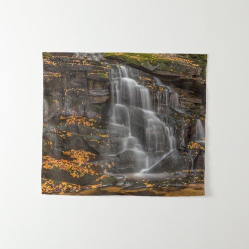 Blackwater Falls State Park Tapestry
