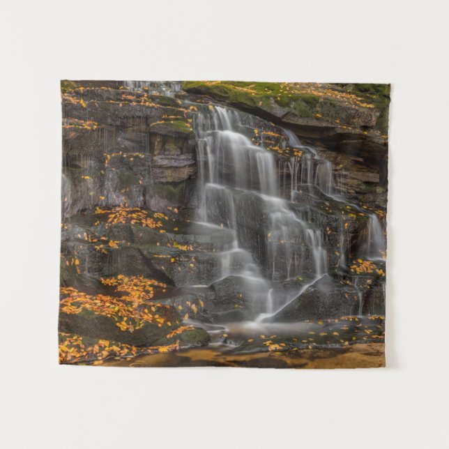 Blackwater Falls State Park Tapestry (Front (Horizontal))