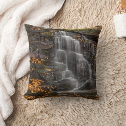 Blackwater Falls State Park Throw Pillow