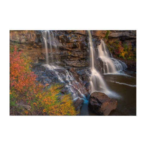 Blackwater Falls State Park  West Virginia Acrylic Print