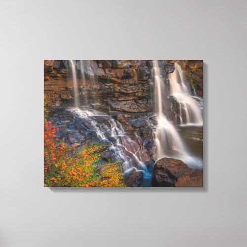 Blackwater Falls State Park  West Virginia Canvas Print